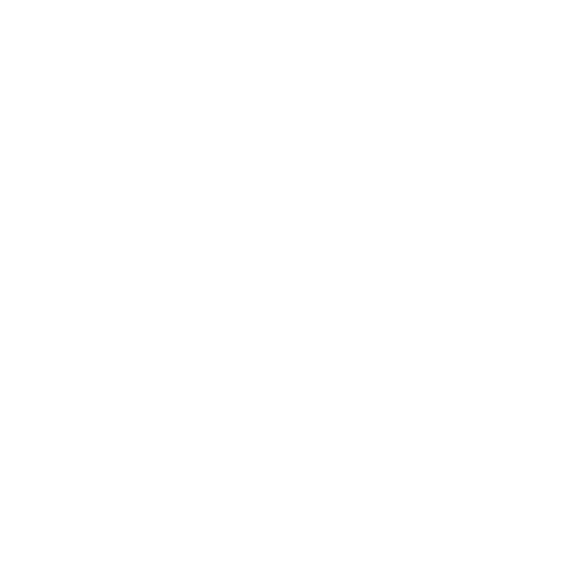TRADING COMPANY BL
