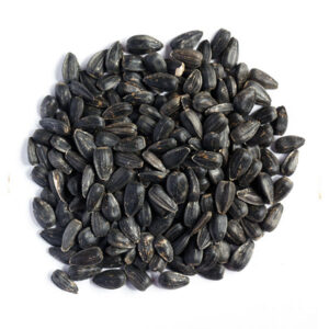 Sunflower Seeds