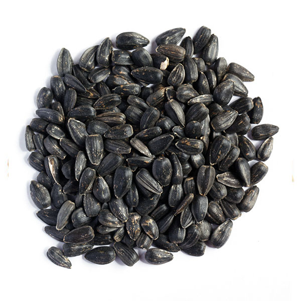 Sunflower Seeds